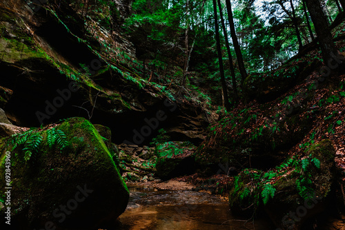 Nature walks 