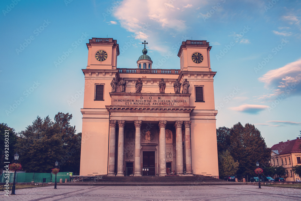 Obraz premium Assumption cathedral in the city of Vac, Hungary.