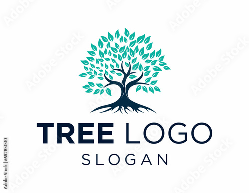 Logo about Tree  on a white background. created using the CorelDraw application. photo