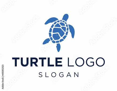Logo about Turtle on a white background. created using the CorelDraw application.