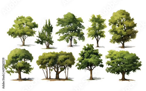 Collection of watercolors trees, vector, eps,