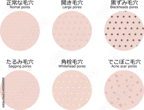 肌表面から見た毛穴のイラストセット