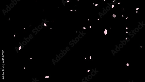 桜の花びらが舞う背景素材