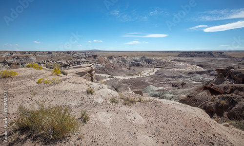 Принти на полотні Plateau view of dry desert wash in the Petrified Forest National Park in Arizona