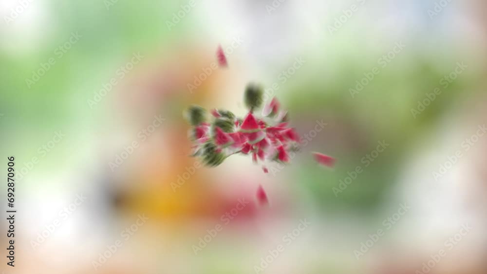 Burst of Watermelon and Watermelon Slices in Garden Green Nature Background Burst of Watermelon and Watermelon Slices in Garden Green Nature Background