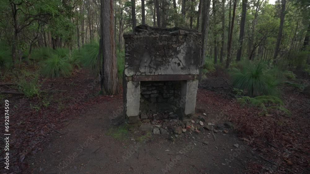 Push back from inside ruins of old fire pit to reveal where it now sits in the forest by itself. Push back from inside ruins of old fire pit to reveal where it now sits in the forest by itself.