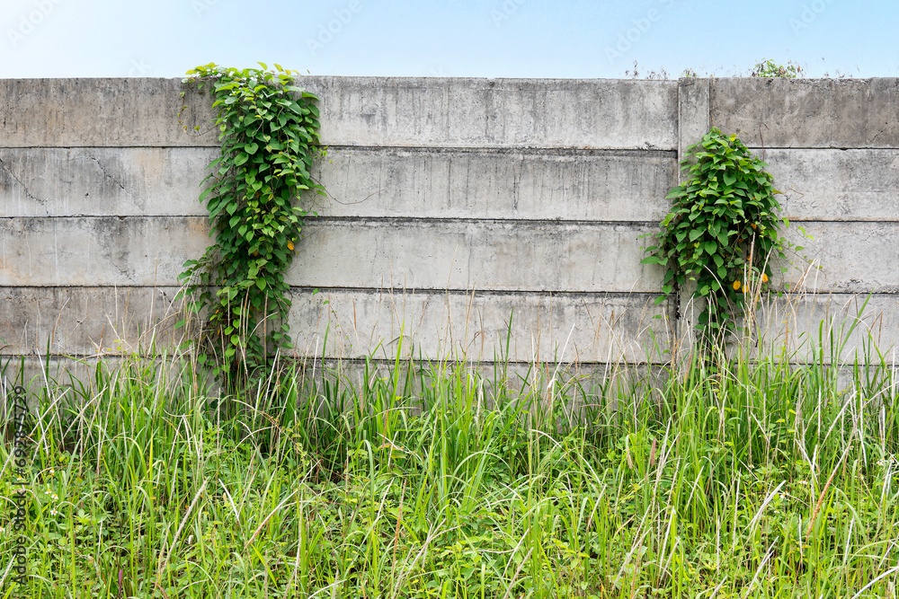 Fototapeta premium Concrete wall block on the field