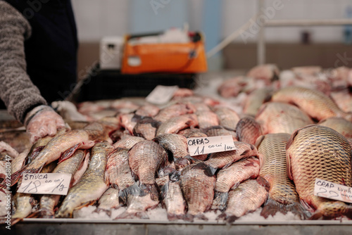 A Colorful Ensemble of Fresh Fish on a Tablecloth