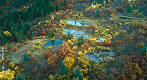 aerial view of fall colors along the edge of a forest. Kebler Pass, Colorado photo