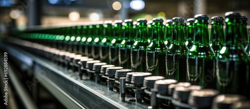 Bottles being filled on a brewery conveyor belt.