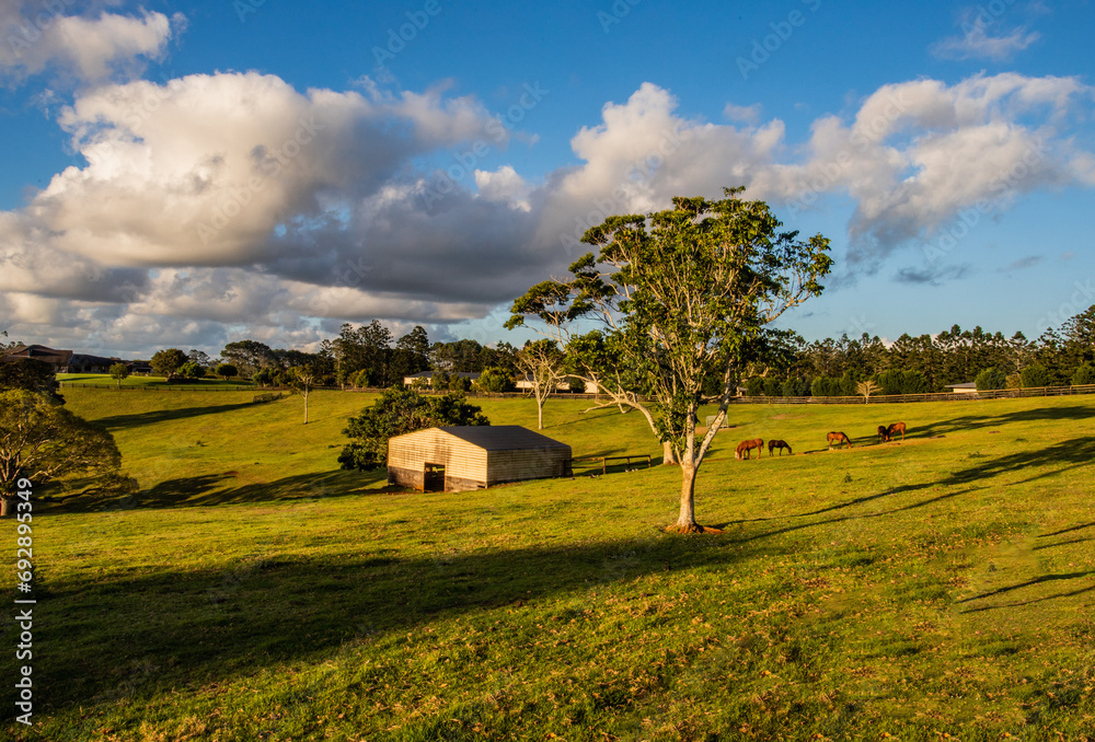 Obraz premium The view of the farm house and meadow in regional Queensland in the dusk in summer