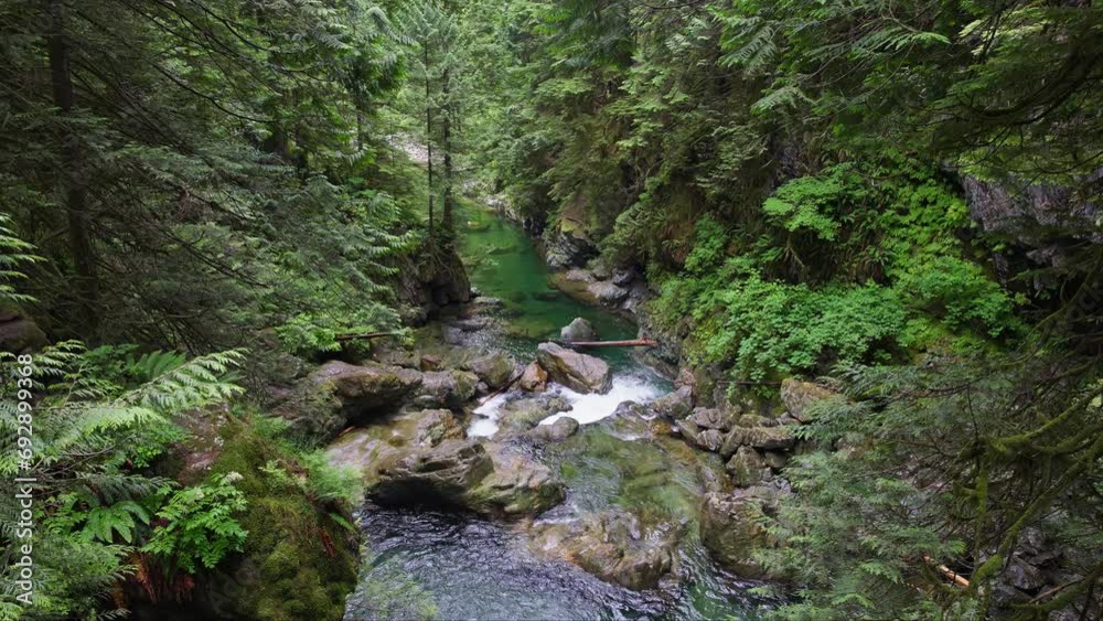 Rapids Flowing Over Lynn Creek Canyons In North Vancouver, British Columbia, Canada. Static Shot Rapids Flowing Over Lynn Creek Canyons In North Vancouver, British Columbia, Canada. Static Shot