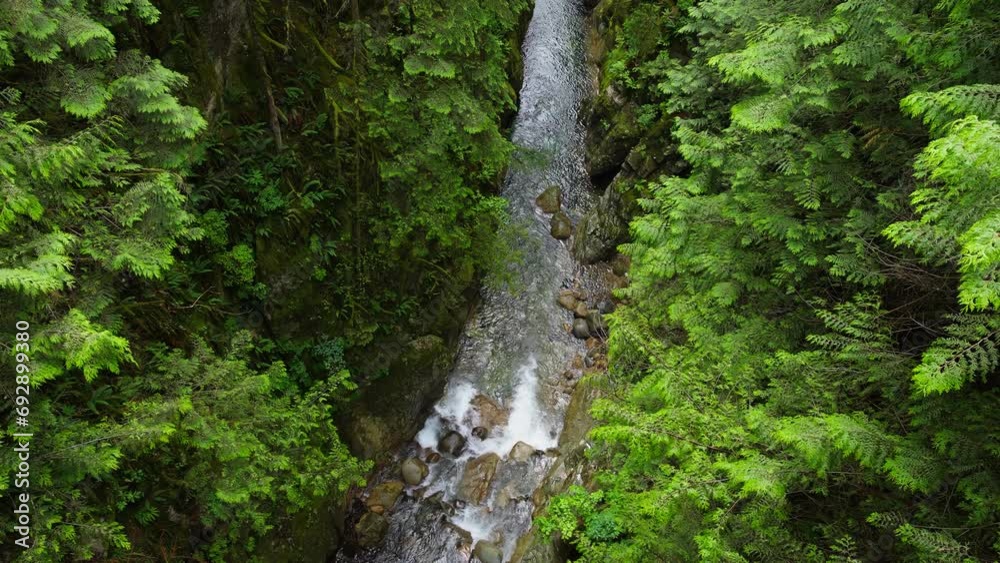 Water Stream Along Rocky Creek in Forest, Lynn Creek in British Columbia Canada, Top Down View Water Stream Along Rocky Creek in Forest, Lynn Creek in British Columbia Canada, Top Down View