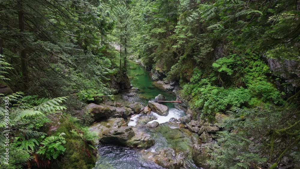 Rapids Flowing Over River Bed with Large Rocks and Fallen Trees In Lynn Creek Canyons In North Vancouver, British Columbia, Canada. Static Shot Rapids Flowing Over River Bed with Large Rocks and Fallen Trees In Lynn Creek Canyons In North Vancouver, British Columbia, Canada. Static Shot