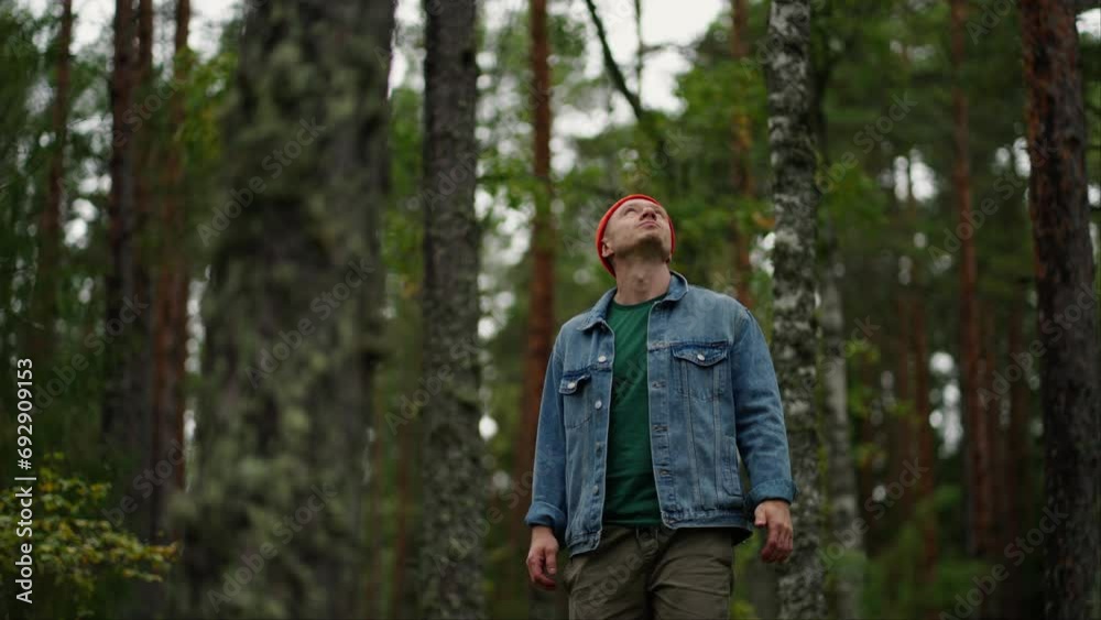 Medium Portrait Of Tourist Man In Beautiful Forest Between High Spruces, Man Admiring Nature