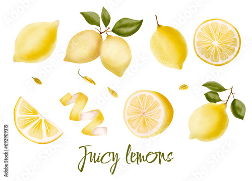 Watercolor illustration of yellow lemons on a branch. Vegetables, fruits, kitchen, cooking, eating, drinking tea, gardening designs.