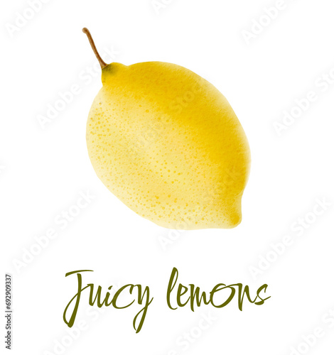 Watercolor illustration of yellow lemons on a branch. Vegetables, fruits, kitchen, cooking, eating, drinking tea, gardening designs.
