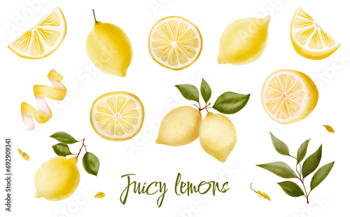 Watercolor illustration of yellow lemons on a branch. Vegetables, fruits, kitchen, cooking, eating, drinking tea, gardening designs.