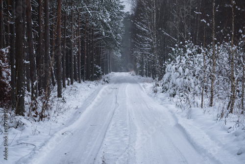 WINTER ATTACK - Snow in forest on trees and on the forest road