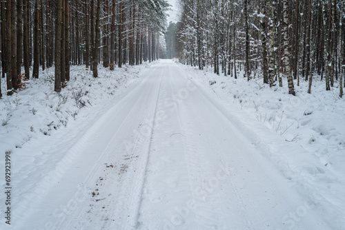 WINTER ATTACK - Snow in forest on trees and on the forest road 