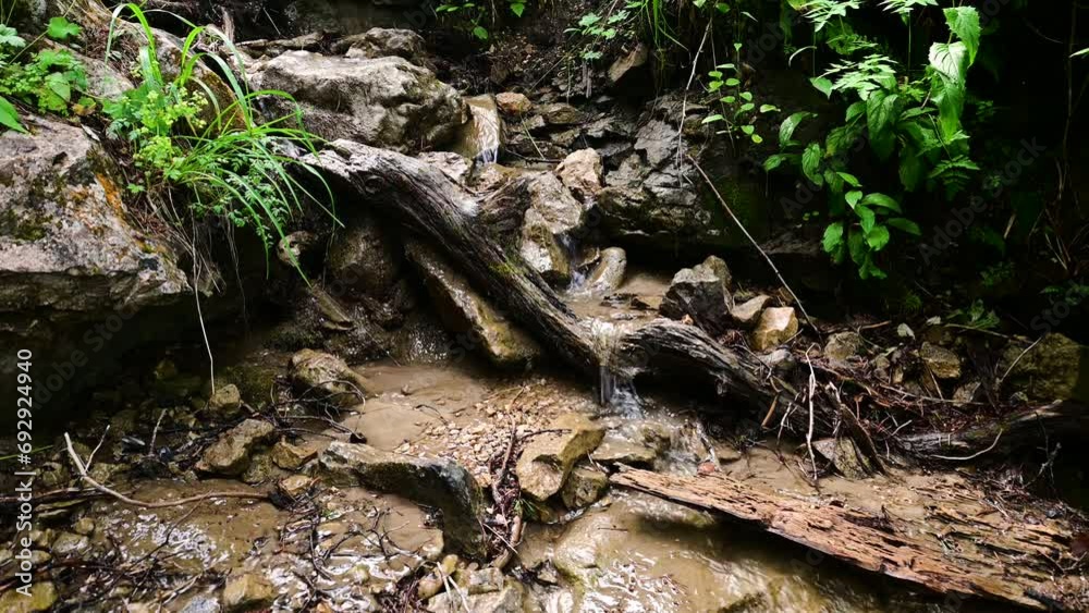 a stream flowing over rocks and logs a stream flowing over rocks and logs