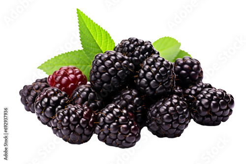 Moras en fondo transparente.