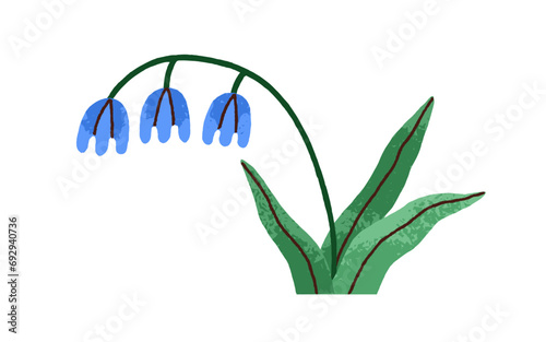 Spring flower. Bellflower, blossomed floral plant. Gentle delicate fragile wi...