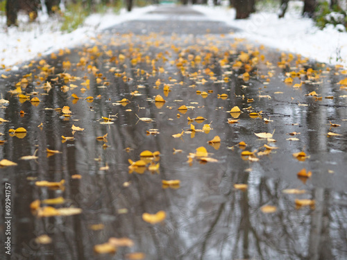 Yellow fallen leaves on the path. Late fall. First snow. Reflections