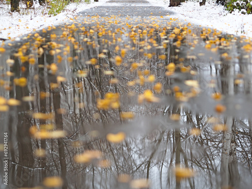 Yellow fallen leaves on the path. Late fall. First snow. Reflections