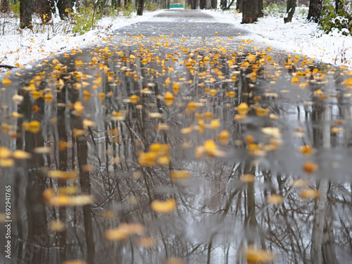 Yellow fallen leaves on the path. Late fall. First snow. Reflections