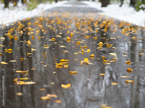 Yellow fallen leaves on the path. Late fall. First snow. Reflections