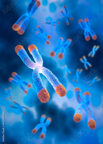 Fotografia Chromosomes with Telomere floating on blue background - science and anti aging t