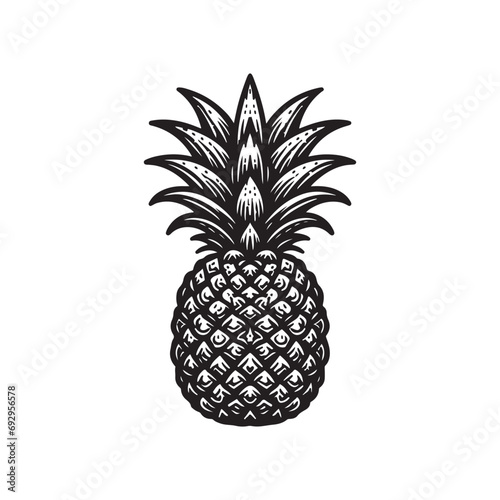 hand drawn illustration of pineapple