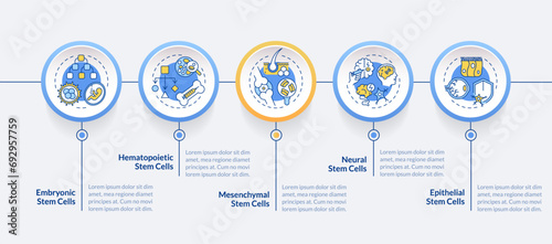 2D cell therapy vector infographics template with multicolor linear icons concept, data visualization with 5 steps, process timeline chart. photo