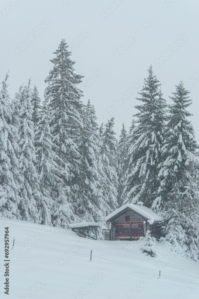 Hütte in Winterlandschaft, Alpin