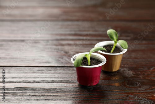 Coffee capsules with seedlings on wooden table, space for text