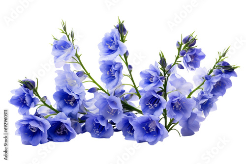 Delphinium Flower Isolated on Transparent Background. Ai