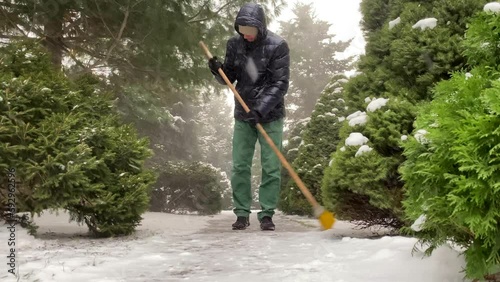 A man sweeps a path among snow-covered pine trees. It's snowing. Snowfall
