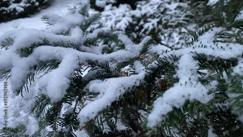 Snow on the Christmas tree