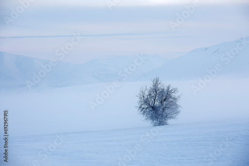 winter landscape with snowy mountains and trees, Turkey