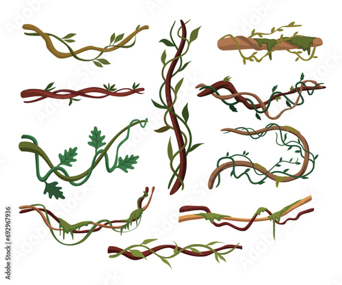 Tropical hanging vines, Liana or vine climbing winding branches cartoon vector illustration, wild rainforest vines branches with leaves