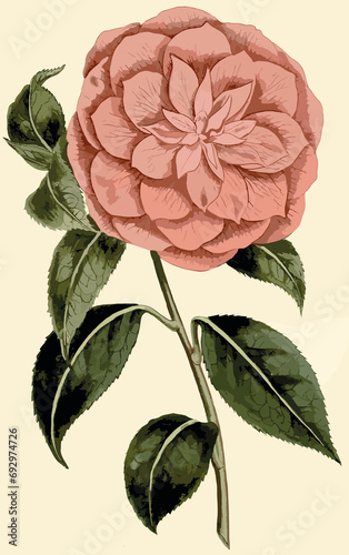 vintage flowers leaf art rose