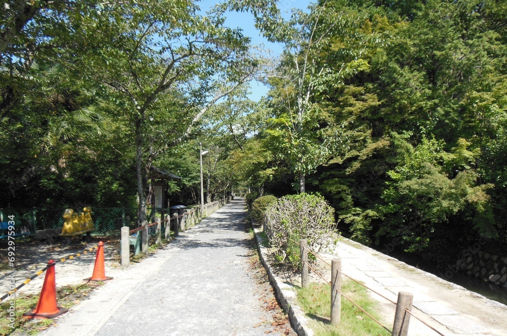 Path of Philosophy, Kyoto, Japan
