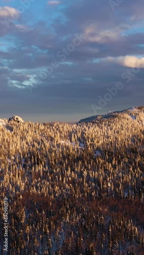 Otkliknoy Mountain Ridge, Mitkiny Cliffs and Coniferous Forest on a Winter Morning. Aerial View. Taganay National Park, Southern Urals, Russia. Drone Flies Backwards. Vertical Video photo