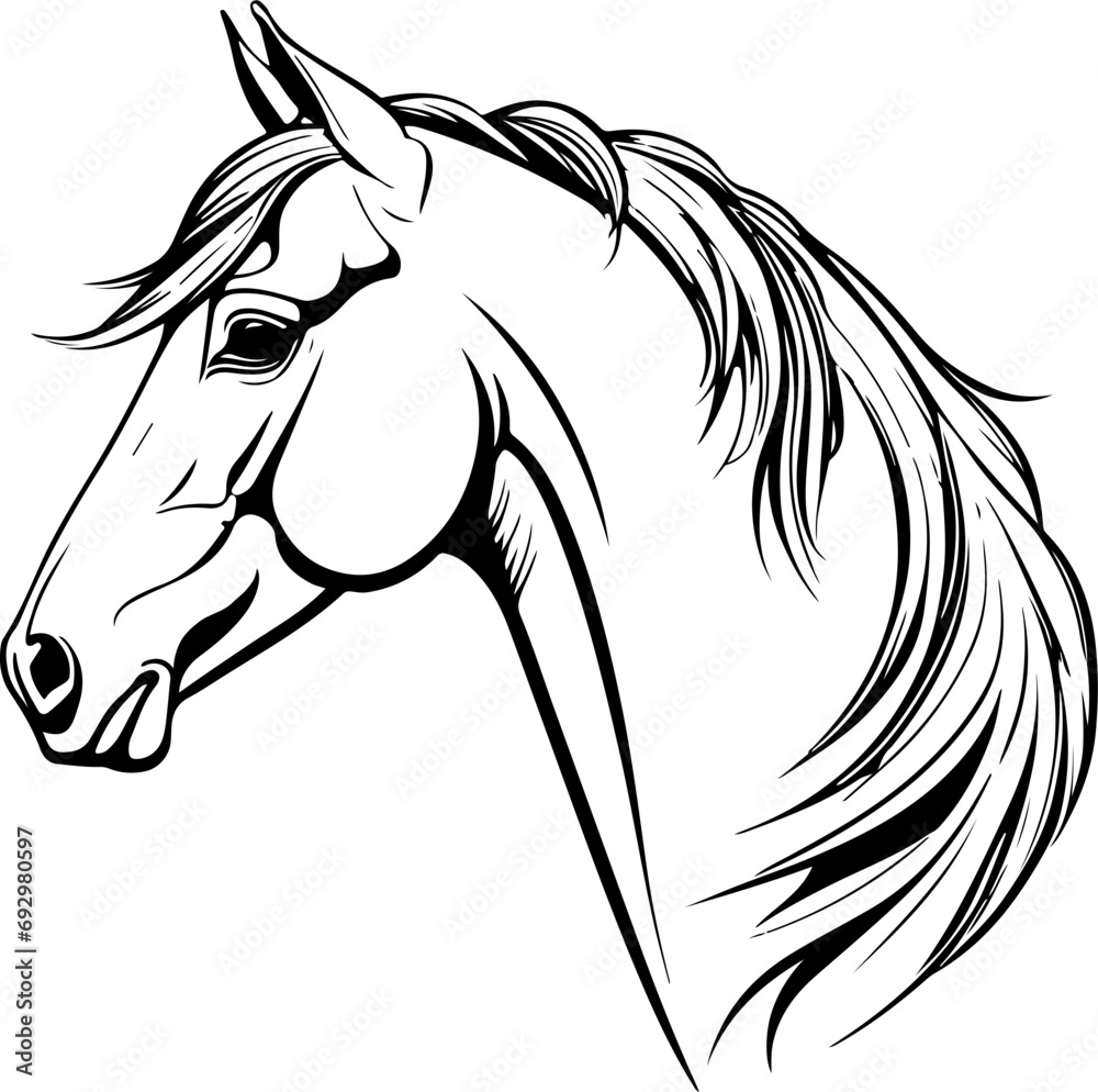 Horse head SVG,  Horse Face SVG, Horse SVG Bundle, Horse Silhouette svg, Bucking Horse svg, Rocking Horse svg