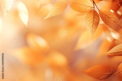 Seasonal fall foliage with detail textures, frame from autumn leaves. Yellow orange beige gradient color. Botanical trend background. Selective focus, bokeh effect. Copy space.