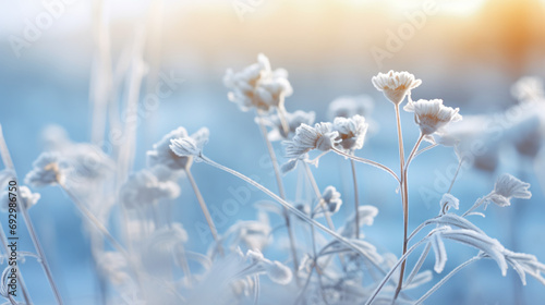 Frozen icy flowers in winter. © levit