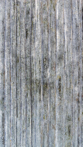 A fragment of a wooden board. The pattern is formed by straight wood fibers. Template for interior design, websites or promotional materials. Vertical image.