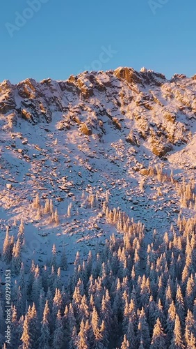 Otkliknoy Mountain Ridge and Coniferous Forest at Sunset in Winter. Aerial View. Taganay National Park, Southern Urals, Russia. Drone Flies Backwards. Vertical Video photo