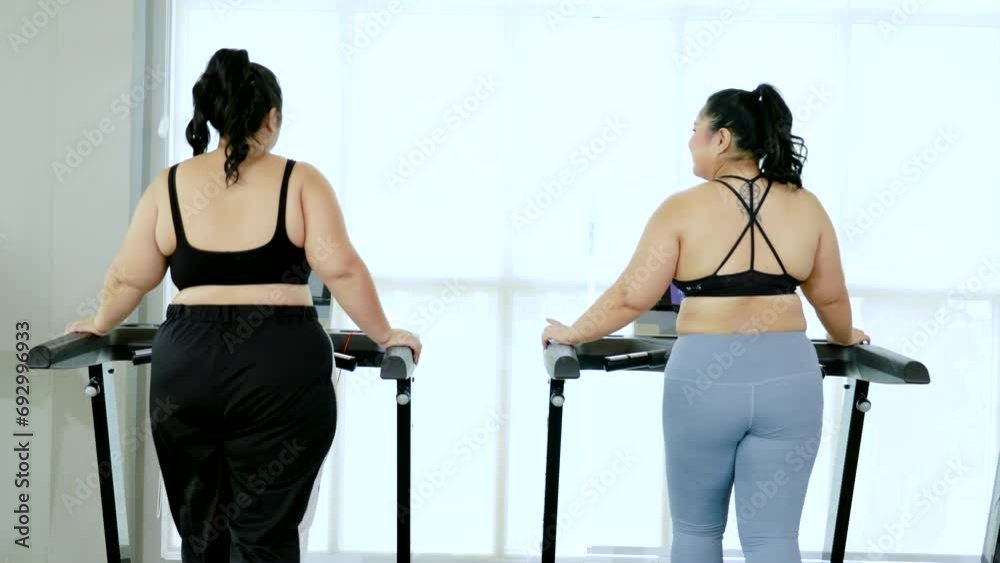 Two chubby females walking cardio on treadmill equipment in fitness club, healthy women wearing sportswear happy change bad habit lifestyle to wellness being by exercising workout lose weight in gym Two chubby females walking cardio on treadmill equipment in fitness club, healthy women wearing sportswear happy change bad habit lifestyle to wellness being by exercising workout lose weight in gym